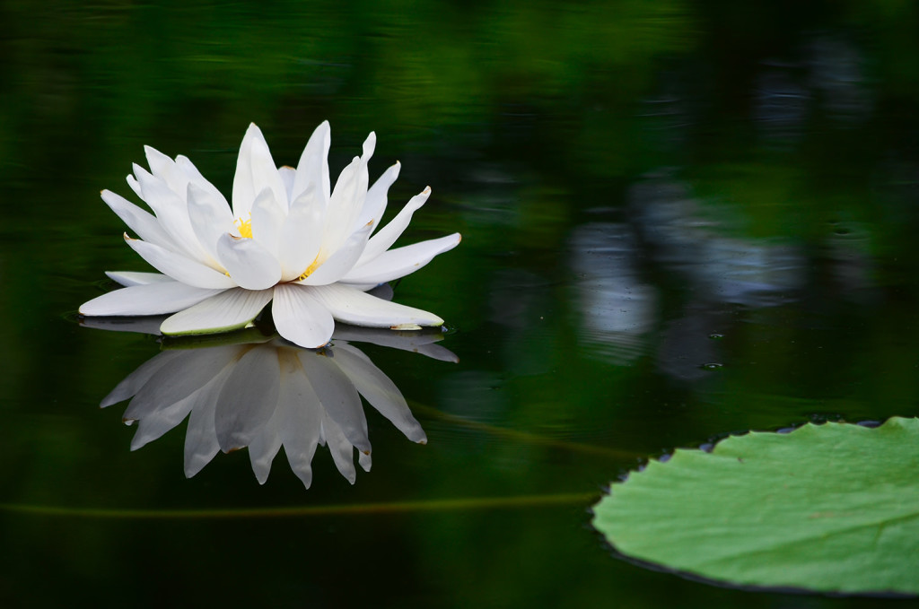 mindfulness meditation stress reduction lawrence ks